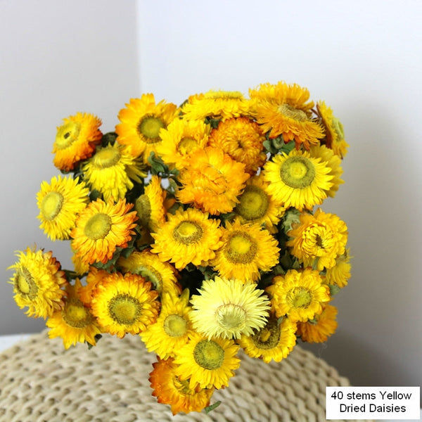 Natural Decorations, A Bunch of Dried Daisy Flowers, Flower Arrangements, Natural Dried Yellow Daisy Flowers, Handmade Artificial Flowers for Home Decor-LargePaintingArt.com