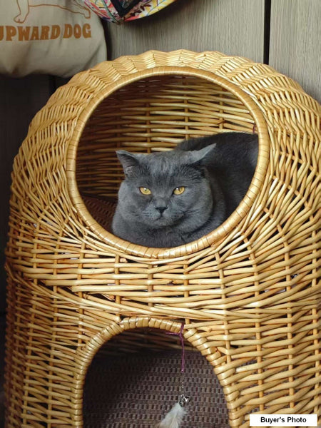 Large Double-Layer Cat Bed, Wicker Cat House Basket with Washable Cushion for Indoor Cats and Dogs-LargePaintingArt.com