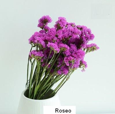 Dried Statices Flower, Dried Flowers, Flower Bunches, Dried Floral-LargePaintingArt.com