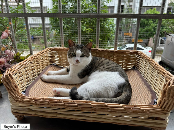 Large Natural Wicker Dog Bed with Washable Cushion for Indoor Cats and Dogs, Hand Woven Rattan Cat Beds-LargePaintingArt.com