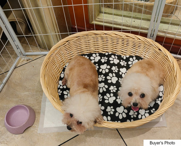 Natural Wicker Dog Bed with Washable Cushion for Indoor Cats and Dogs, Hand woven Rattan Cat Beds-LargePaintingArt.com