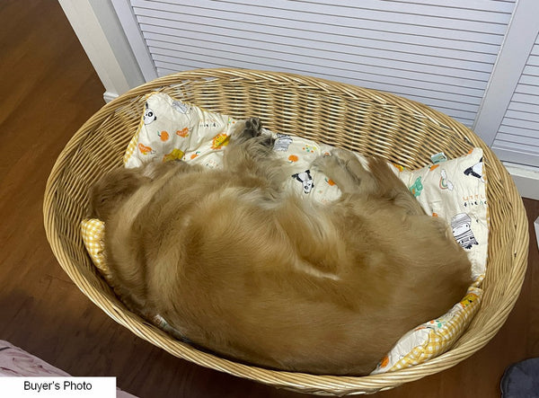 Hand woven Rattan Cat Beds, Extra Large Natural Wicker Dog Bed with Washable Cushion for Indoor Cats and Dogs-LargePaintingArt.com