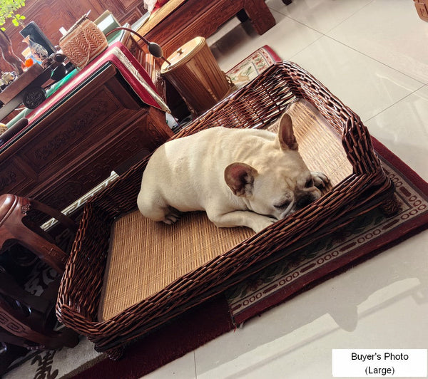 Large Natural Wicker Dog Bed with Washable Cushion for Indoor Cats and Dogs, Hand Woven Rattan Cat Beds-LargePaintingArt.com