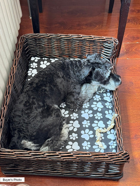 Large Natural Wicker Dog Bed with Washable Cushion for Indoor Cats and Dogs, Hand Woven Rattan Cat Beds-LargePaintingArt.com