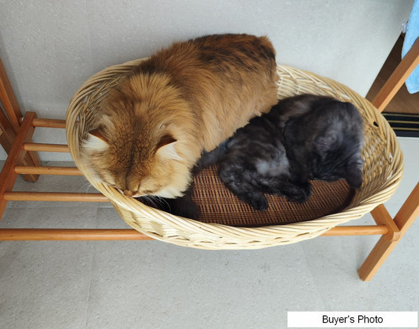 Hand woven Rattan Cat Beds, Extra Large Natural Wicker Dog Bed with Washable Cushion for Indoor Cats and Dogs-LargePaintingArt.com