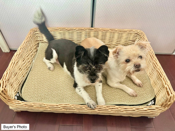 Hand Woven Rattan Cat Beds, Extra Large Natural Wicker Dog Bed with Washable Cushion for Indoor Cats and Dogs-LargePaintingArt.com