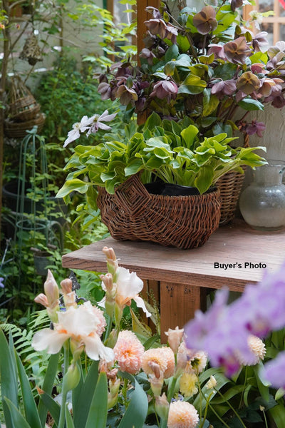 Large Picnic Food Basket with Handle, Natural Hand-woven Wicker Storage Basket, Natural Fruit Baskets, Kitchen Storage Baskets, Willow Weaving Baskets with Handle-LargePaintingArt.com