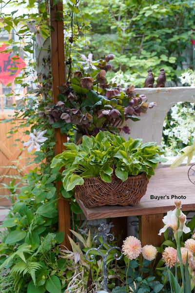 Large Picnic Food Basket with Handle, Natural Hand-woven Wicker Storage Basket, Natural Fruit Baskets, Kitchen Storage Baskets, Willow Weaving Baskets with Handle-LargePaintingArt.com
