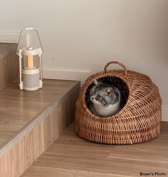 Indoor Cat Bed, Natural Wicker Cat House Basket with Washable Cushion for Indoor Cats and Dogs-LargePaintingArt.com