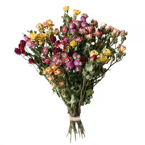 Dried Rose Flower Bouquet, A Bouquet of Dried Rose Flowers, Natural Dried Rose Flower Bunches, A Bunch Dried Rose Flowers, Red Yellow Purple Dried Rose Floral-LargePaintingArt.com